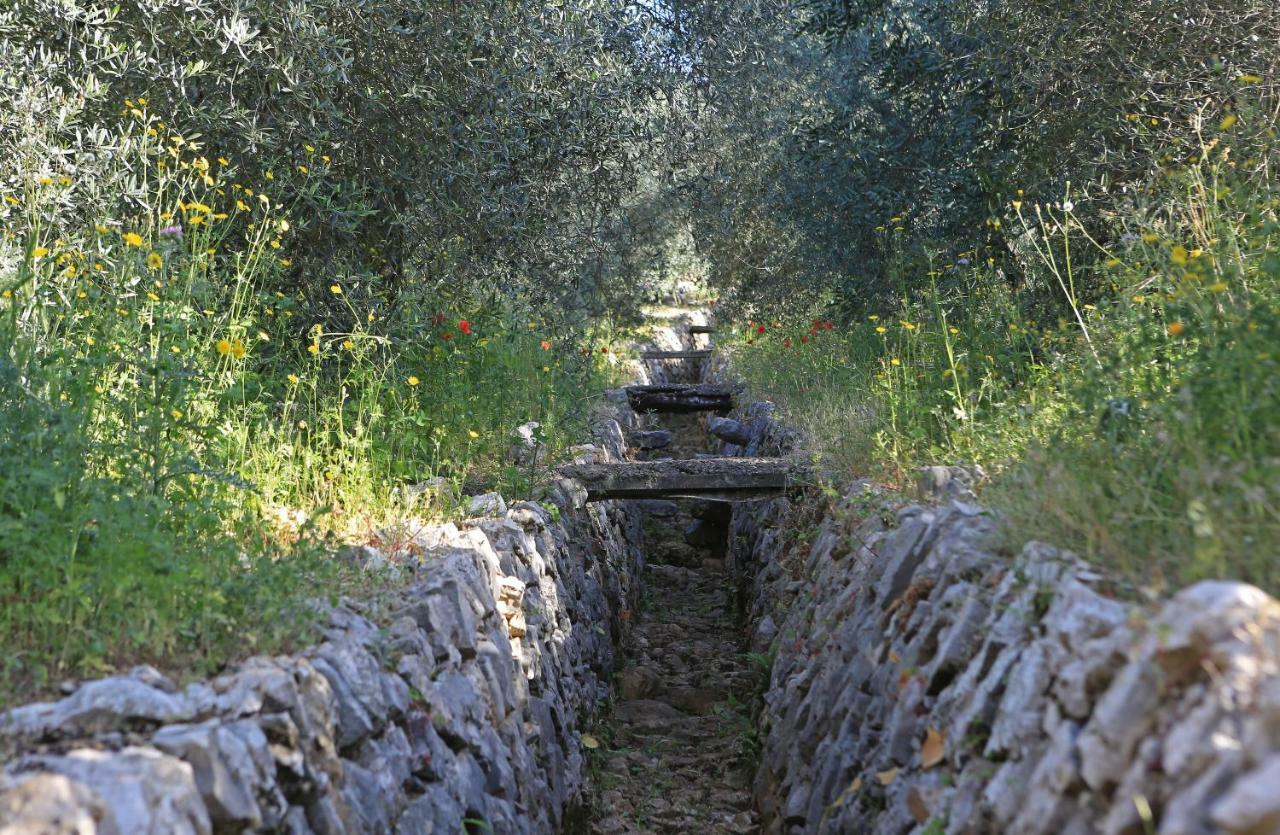 Casale Madeccia ξενώνας Sonnino Εξωτερικό φωτογραφία