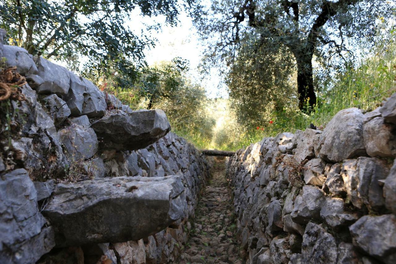 Casale Madeccia ξενώνας Sonnino Εξωτερικό φωτογραφία
